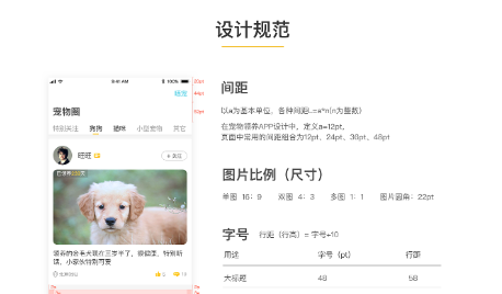 宠物APP的用户调研总结