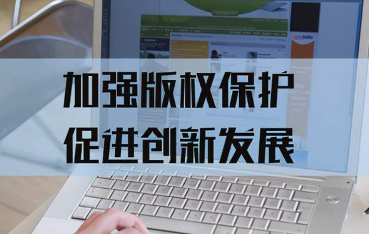 如何进行版权的保护